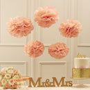 Tissue Paper Pom Poms - Pastel Pink
