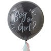 Gender Reveal Boy Or Girl? Balloon Kit